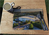 Wooden cork placemat showing Aerial Photograph of Brighton and Hove Albion - Amex Stadium