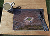 Wooden cork placemat showing Aerial Photograph of Everton - Goodison Park