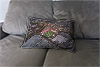 Custom Printed Canvas Cushion showing Aerial Photograph of Hamilton Academical - New Douglas Park Custom Printed Canvas Cushion showing Aerial Photograph of Hamilton Academical - New Douglas Park