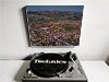 Fine Art Canvas showing Aerial Photograph of Kelty Hearts - New Central Park