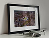 Classic Mounted and Framed Fine Art Print showing Aerial Photograph of Kilmarnock - Rugby Park