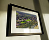 Classic Mounted and Framed Fine Art Print showing Aerial Photograph of Salford City - Peninsula Stadium