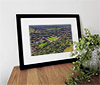 Classic Mounted and Framed Fine Art Print showing Aerial Photograph of Salford City - Peninsula Stadium